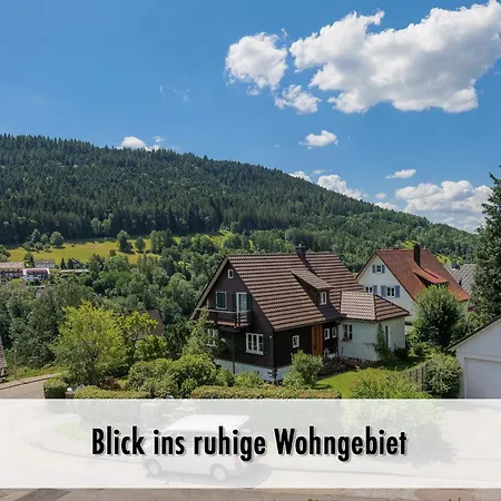 Schindelhaeusle: Sonniger Garten | Hunde Erlaubt *