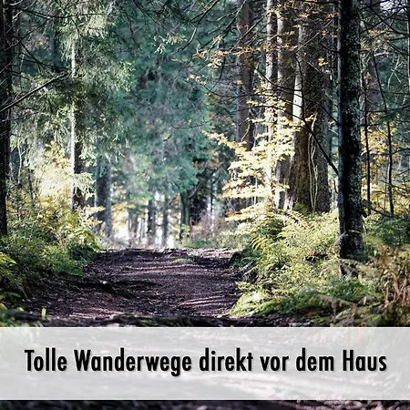 Schindelhaeusle: Sonniger Garten | Hunde Erlaubt *