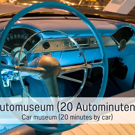 Schindelhaeusle: Sonniger Garten | Hunde Erlaubt