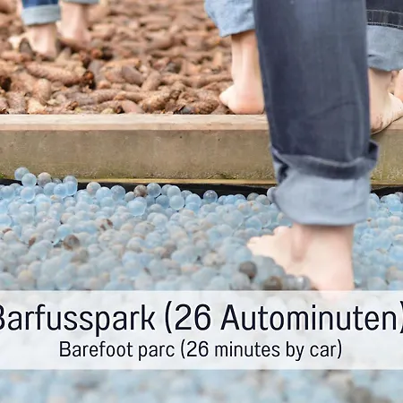 Schindelhaeusle: Sonniger Garten | Hunde Erlaubt 別荘