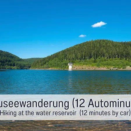 Schindelhaeusle: Sonniger Garten | Hunde Erlaubt *