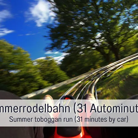 Schindelhaeusle: Sonniger Garten | Hunde Erlaubt 別荘 アルピルスバッハ