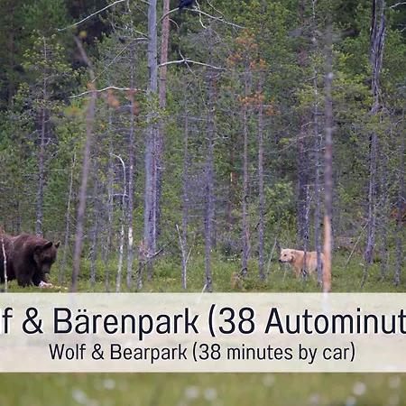 Schindelhaeusle: Sonniger Garten | Hunde Erlaubt Альпирсбах