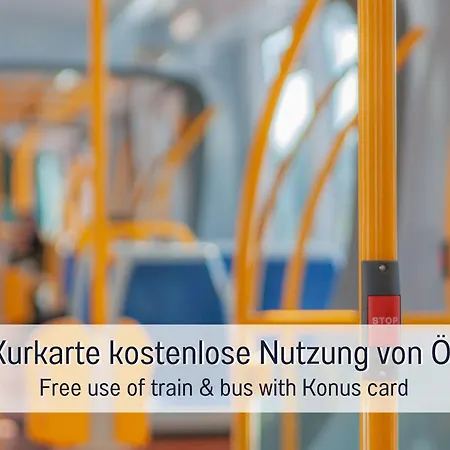 Schindelhaeusle: Sonniger Garten | Hunde Erlaubt 別荘