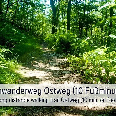 Дом отдыха Schindelhaeusle: Sonniger Garten | Hunde Erlaubt *