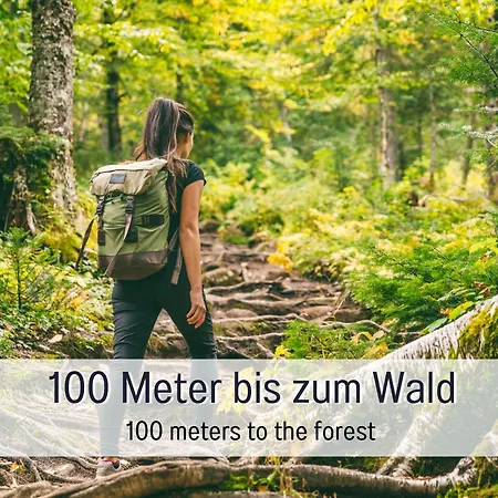 Schindelhaeusle: Sonniger Garten | Hunde Erlaubt アルピルスバッハ